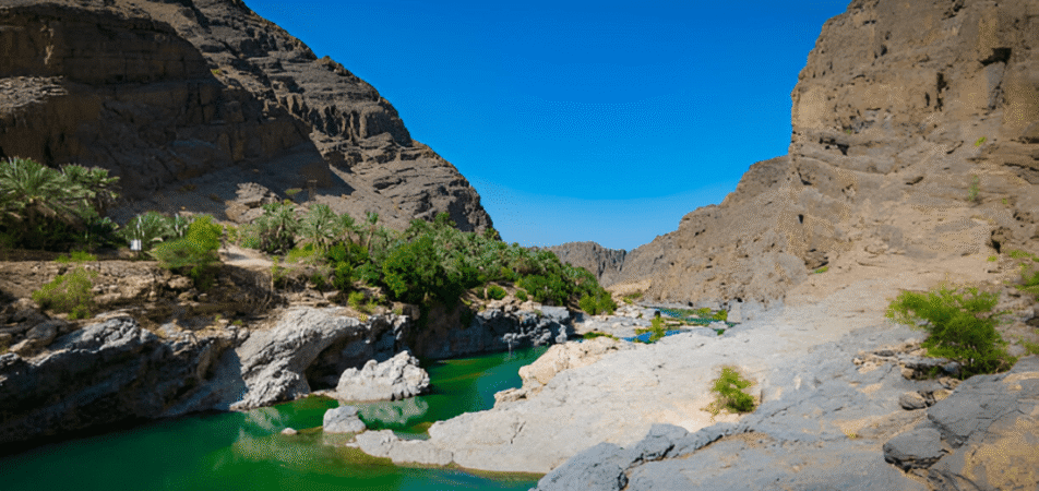 Wadi Shab Tour
