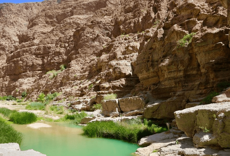 Wadi Shab Tour